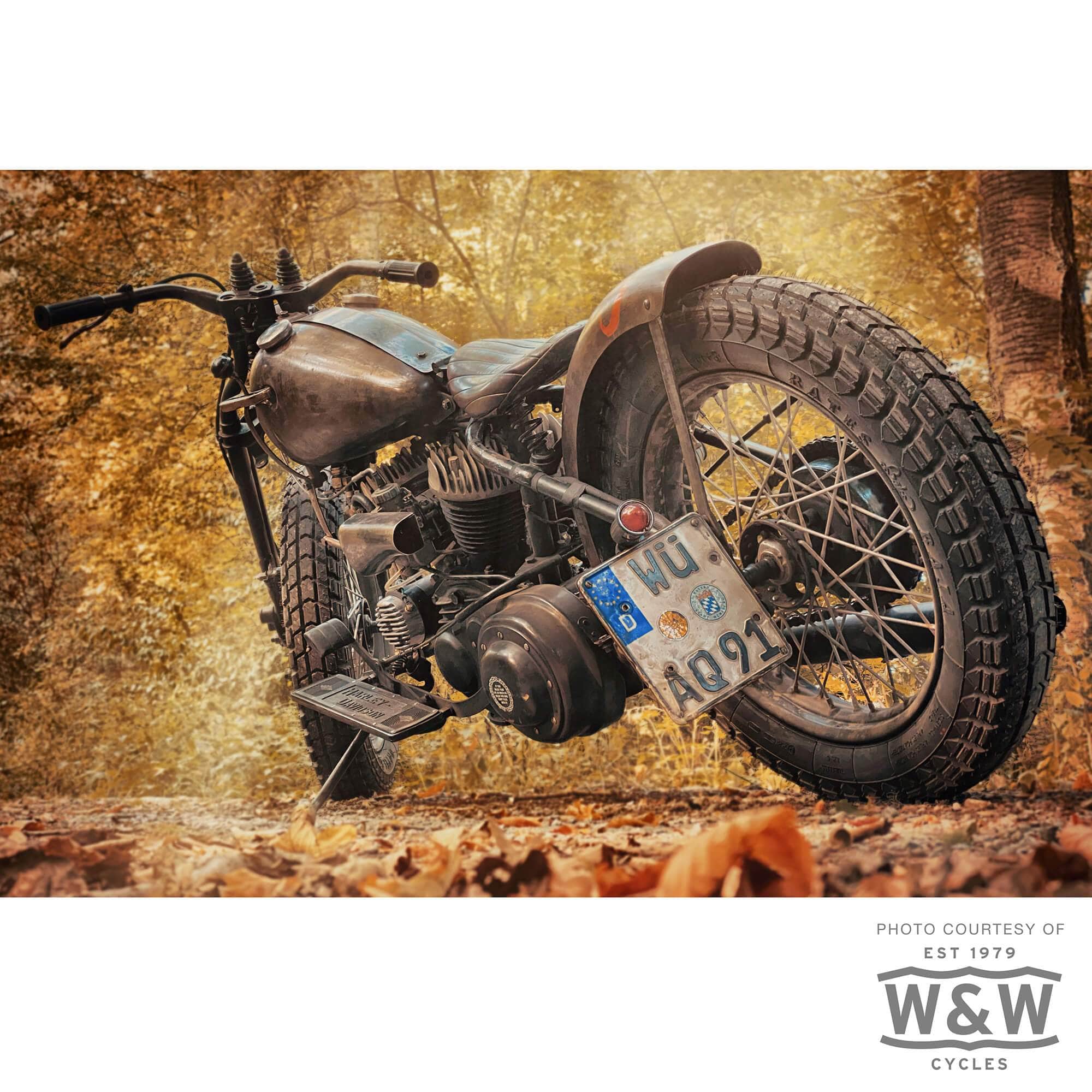 Baja 100 Tire 18" - 4.00-18 64T - Image 7