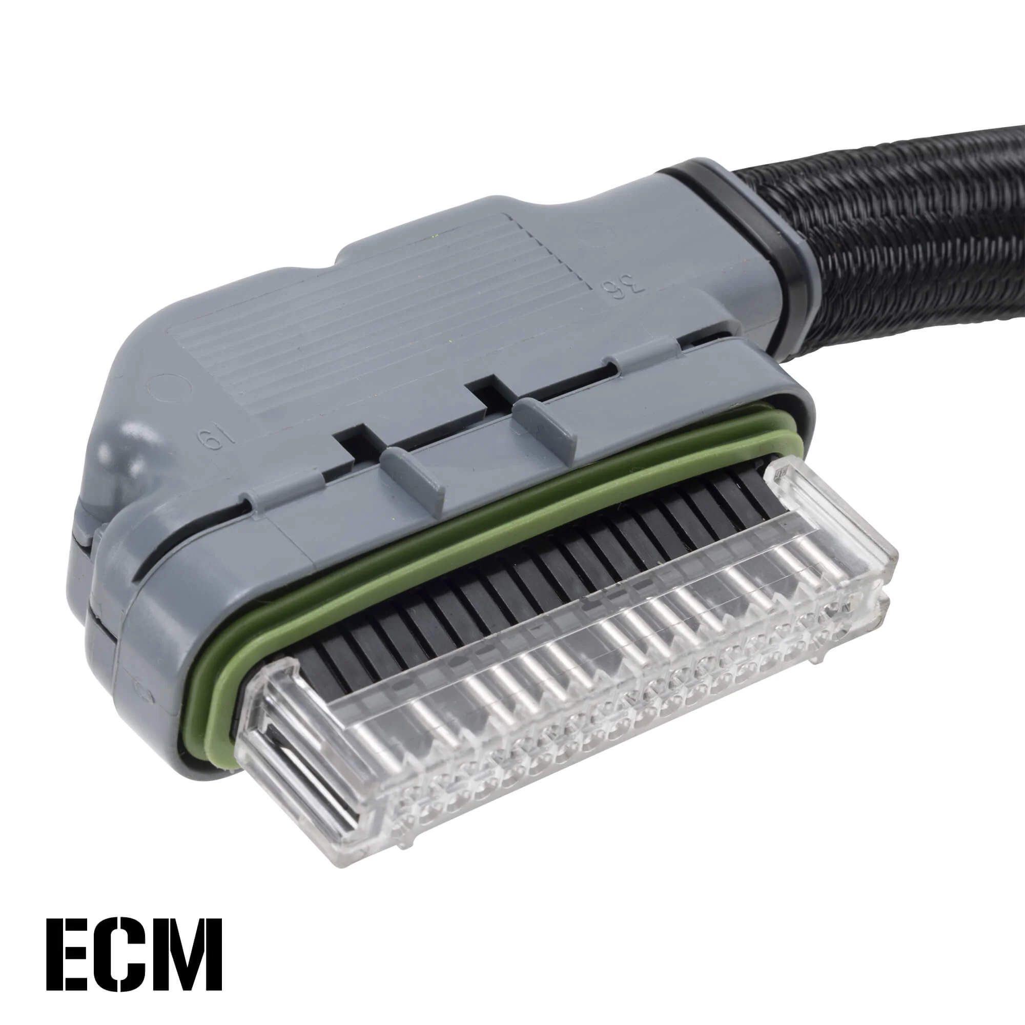 Complete Chopper Wiring Harness 2007-2013 EFI Harley-Davidson Sportster - Image 9