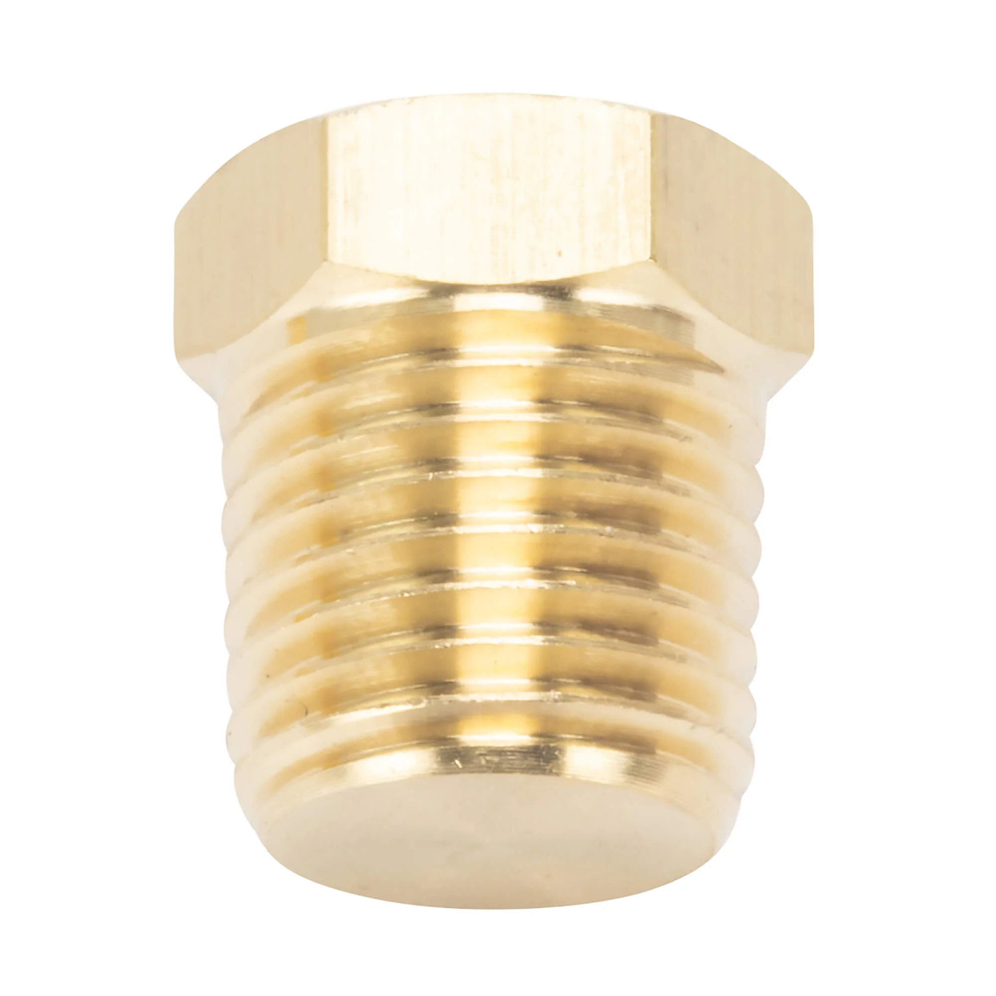Hex Pipe Plug 1/4 inch NPT - Brass