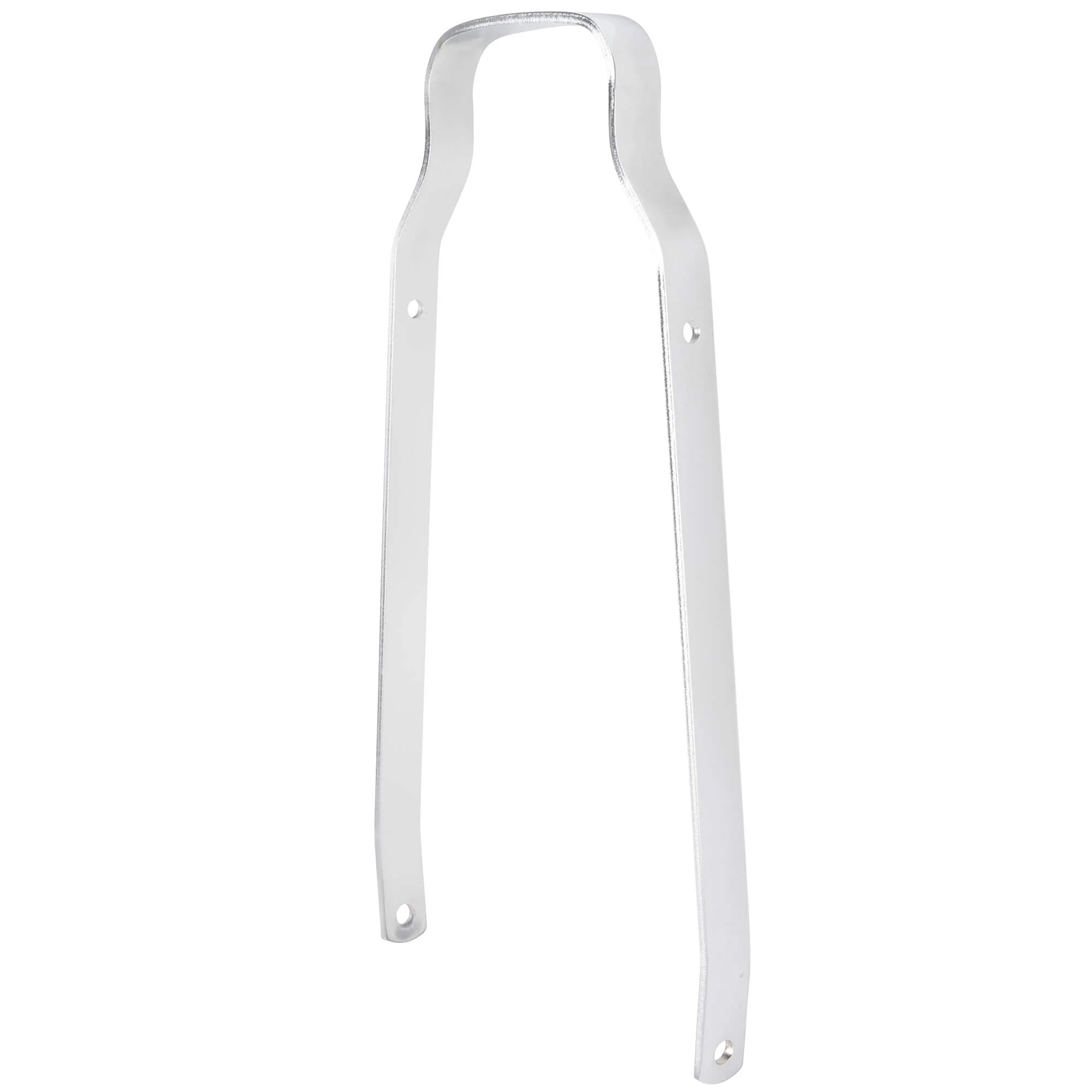 Flat Strap Sissy Bar - Round Fender - Image 4