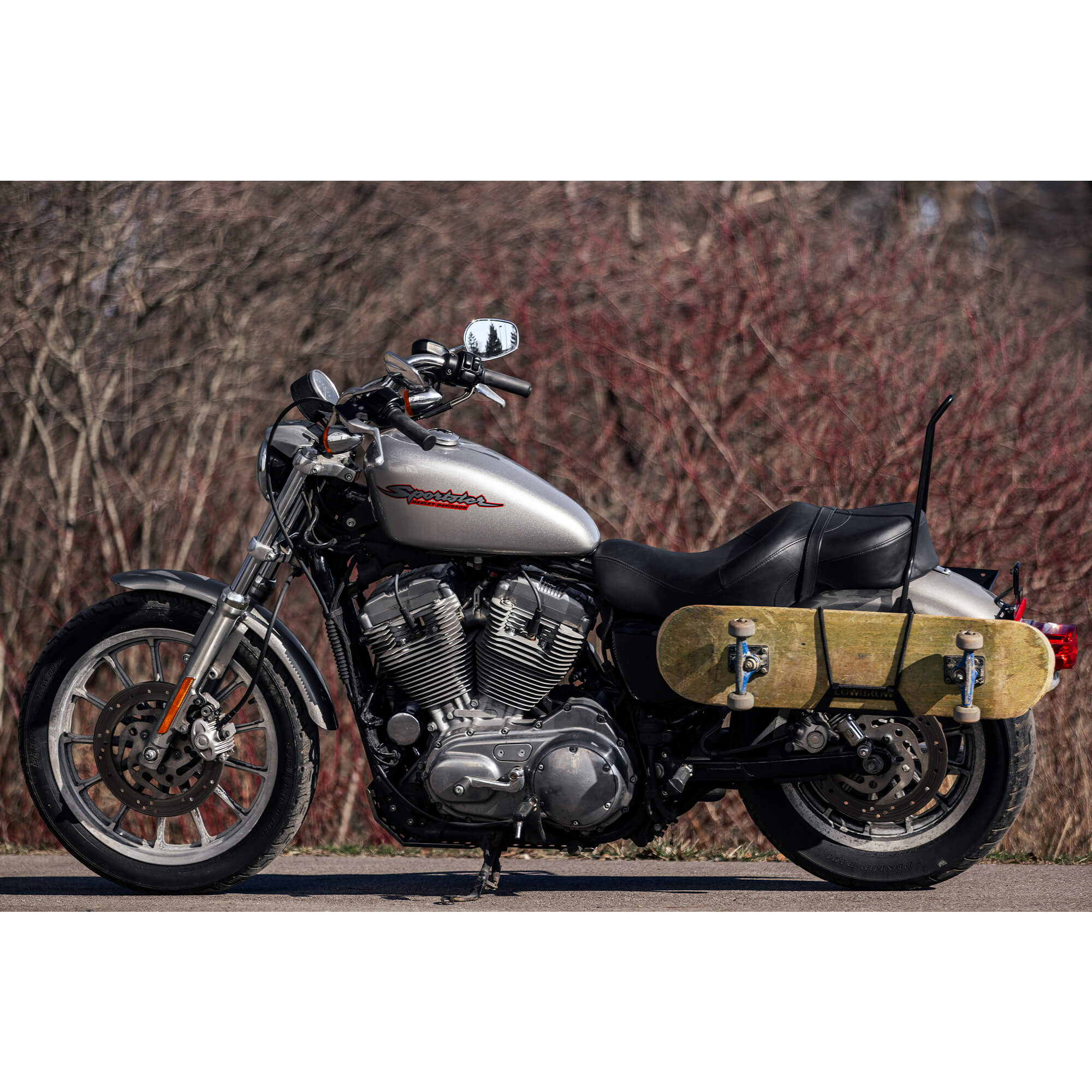 Skateboard Carrier Rack 2004-2022 Harley-Davidson Sportsters - Image 10