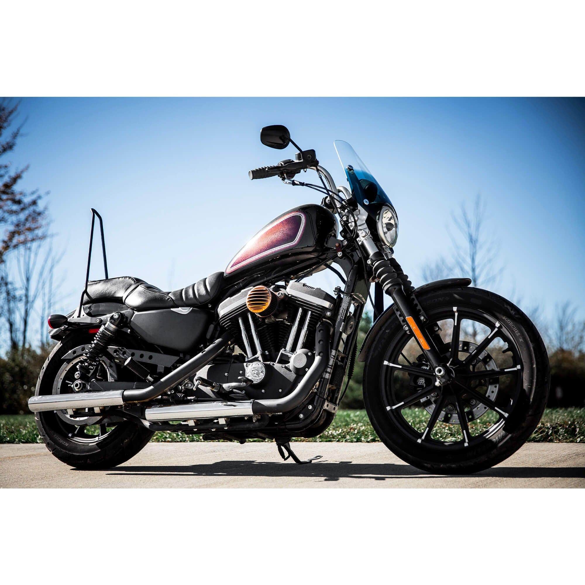 Tall Chopper Bolt On Sissy Bar - 2004 & Up Sportsters - Image 11